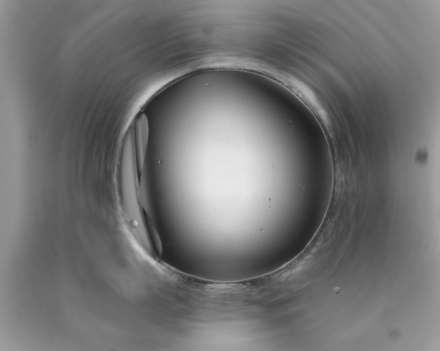 X0000090480863200707272317