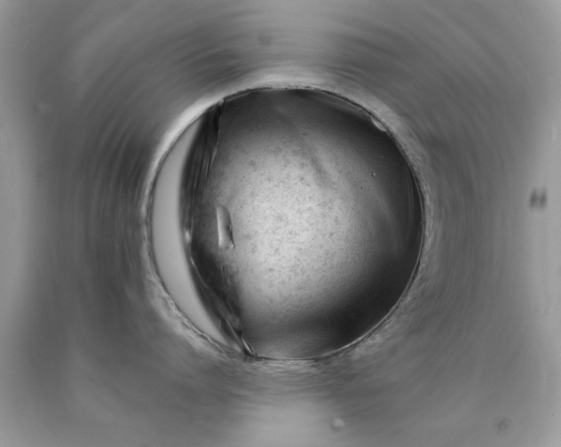 X0000090480864200707272317