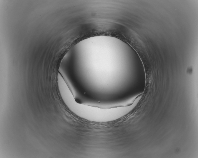 X0000090480868200707272317