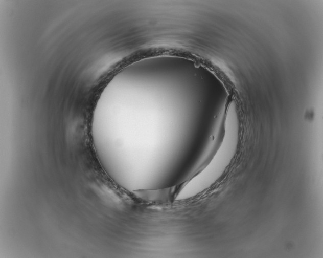 X0000090480872200707272317