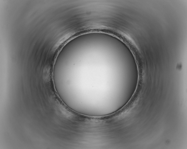 X0000090480873200707272317