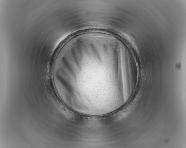 X0000090480875200707272317