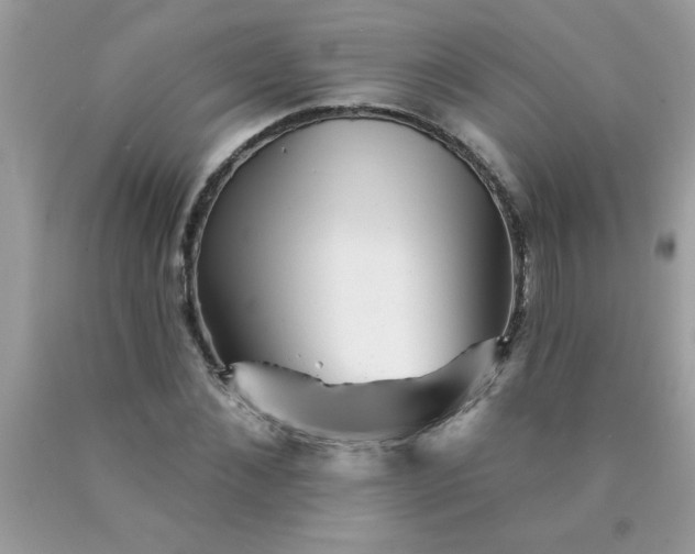 X0000090480876200707272317