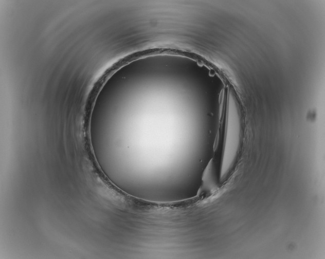 X0000090480880200707272317