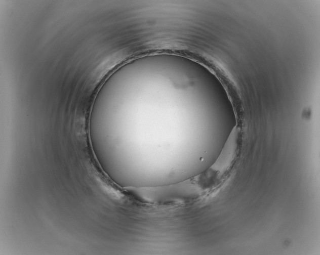 X0000090480881200707272317