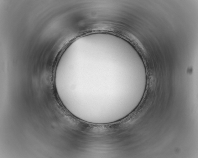 X0000090480882200707272317