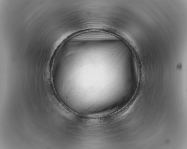 X0000090480883200707272317