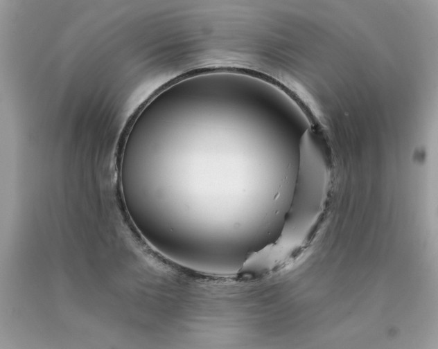 X0000090480885200707272317