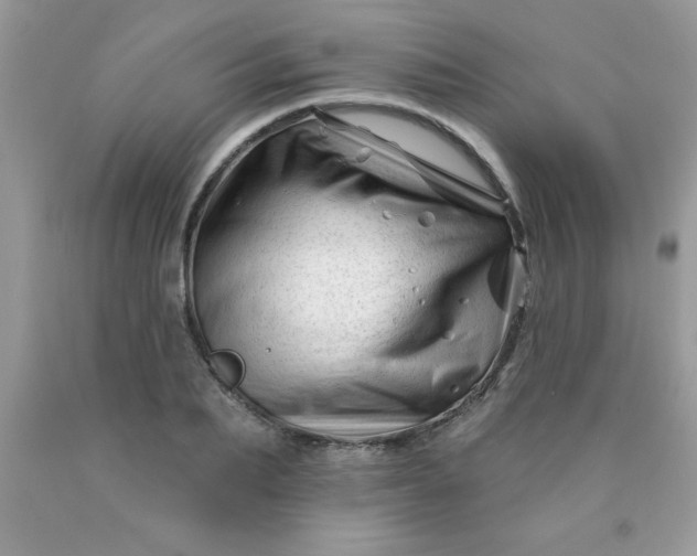 X0000090480887200707272317