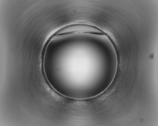 X0000090480888200707272317