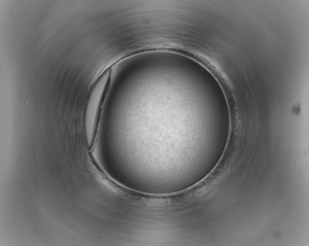 X0000090480889200707272317