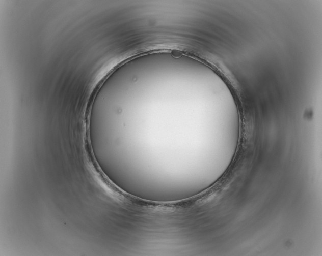 X0000090480890200707272317