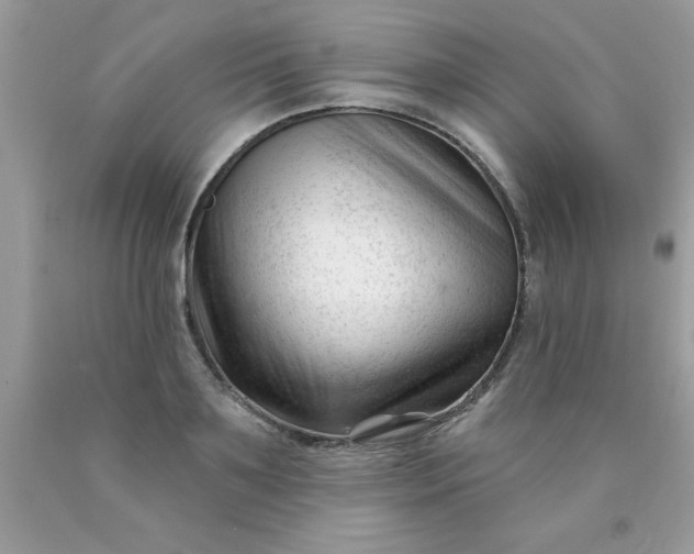 X0000090480891200707272316