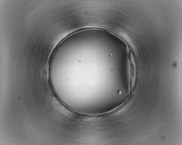 X0000090480892200707272316