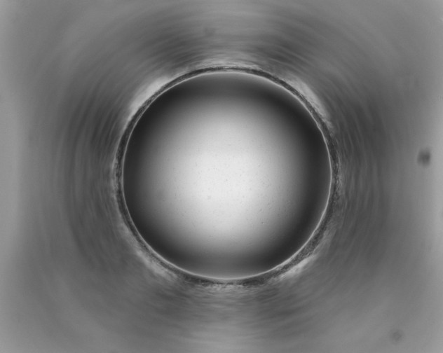 X0000090480893200707272316