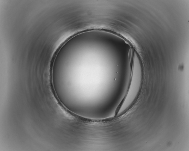 X0000090480894200707272316