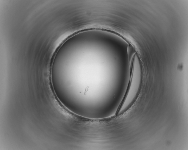 X0000090480896200707272316