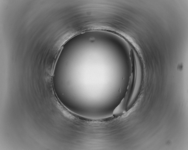 X0000090480897200707272316