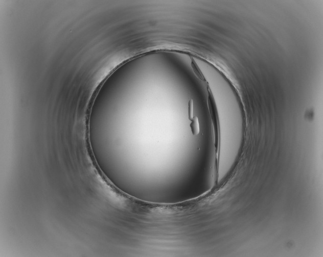 X0000090480898200707272316