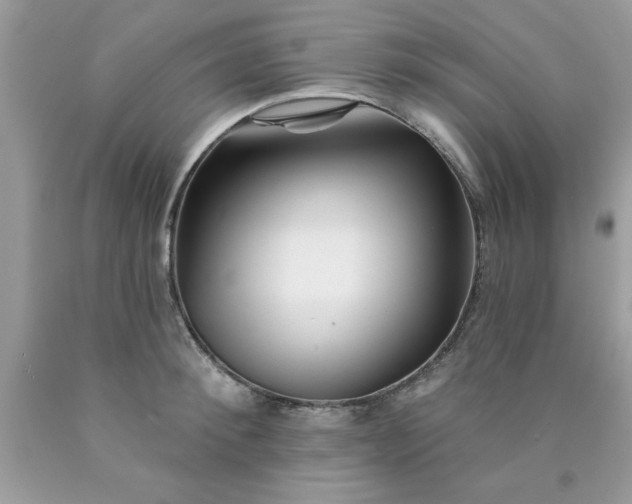 X0000090480900200707272316