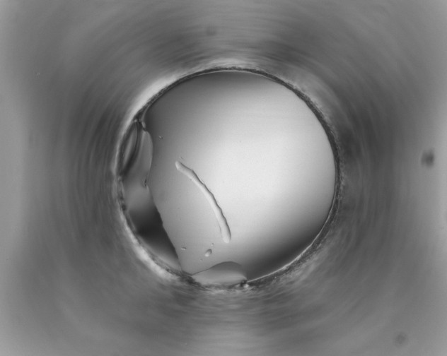 X0000090480902200707272316