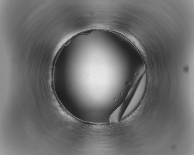 X0000090480904200707272316