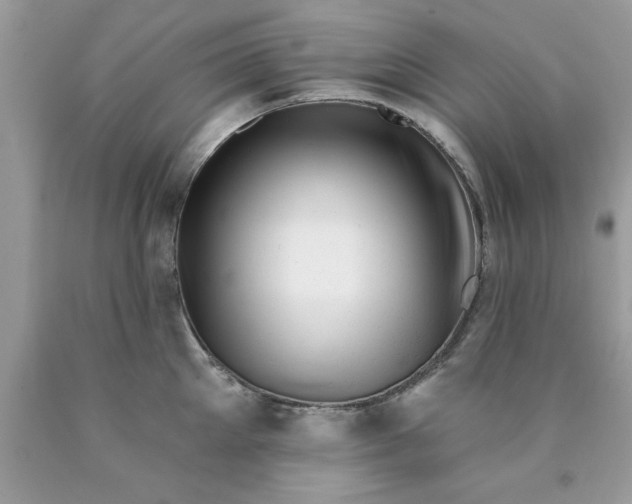 X0000090480905200707272316