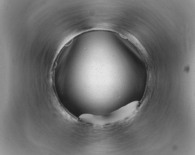 X0000090480908200707272316