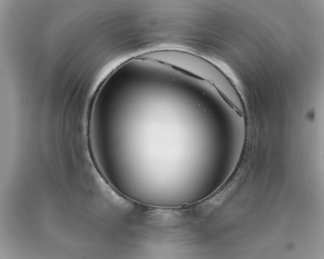 X0000090480910200707272316