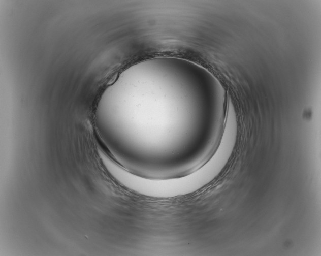 X0000090480916200707272315