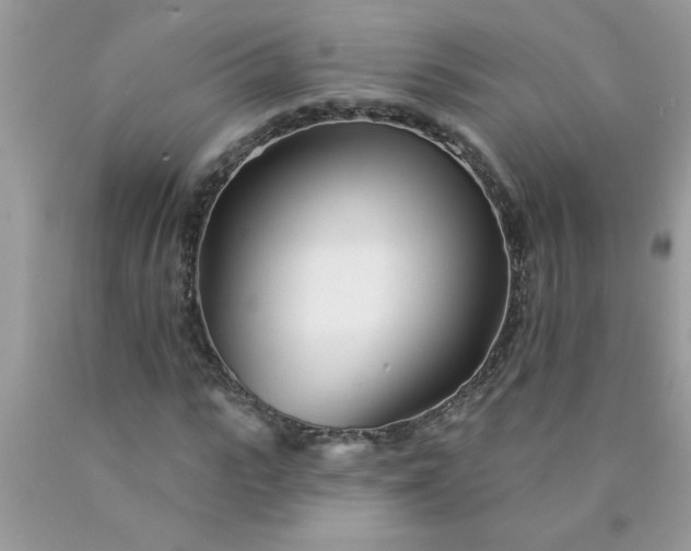 X0000090480919200707272316