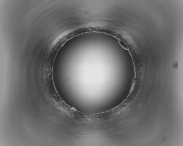 X0000090480920200707272316