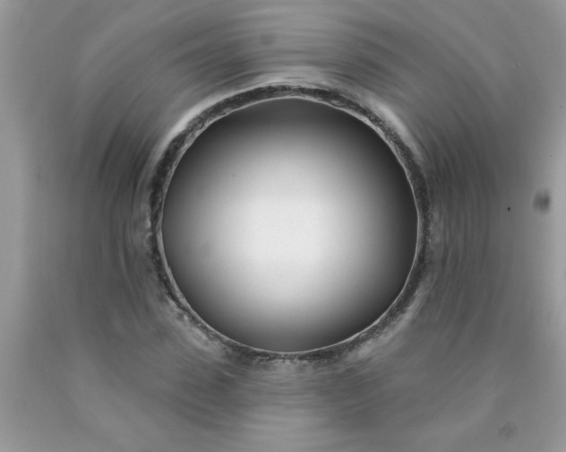 X0000090480923200707272316