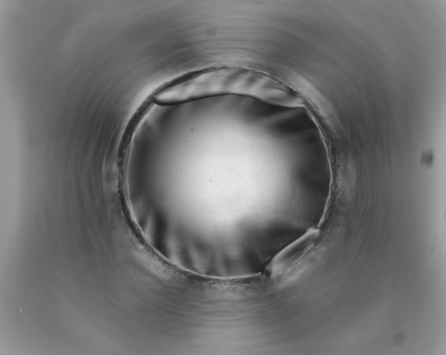 X0000090480924200707272316