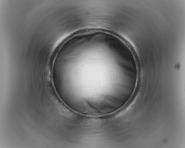 X0000090480925200707272316