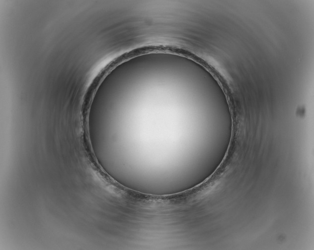 X0000090480927200707272316