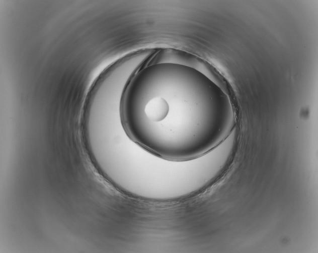 X0000090480928200707272316