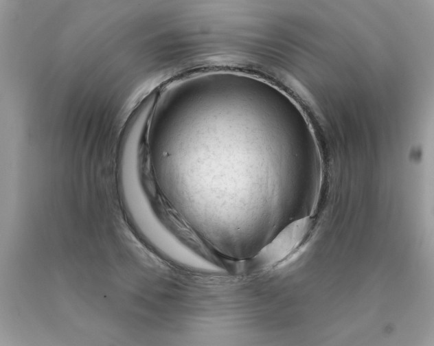 X0000090480930200707272316