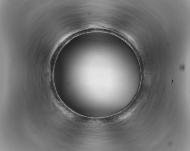 X0000090480931200707272316