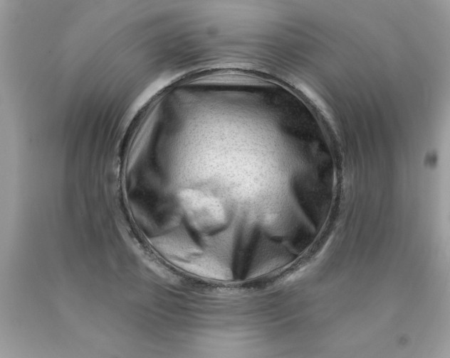 X0000090480933200707272316