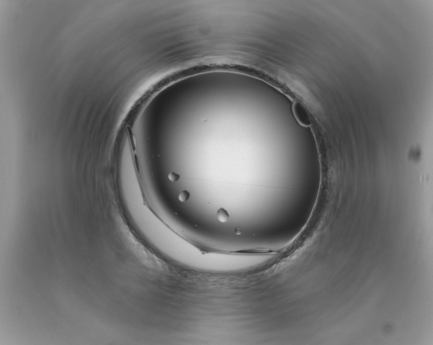 X0000090480934200707272316