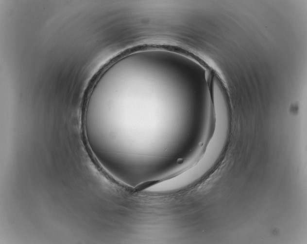 X0000090480935200707272316