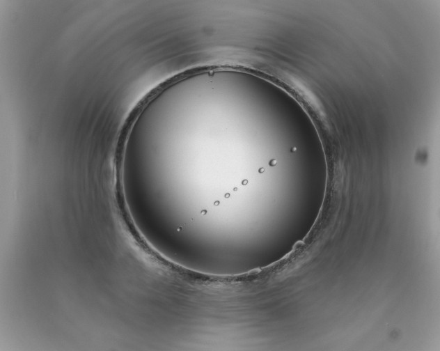 X0000090480936200707272316