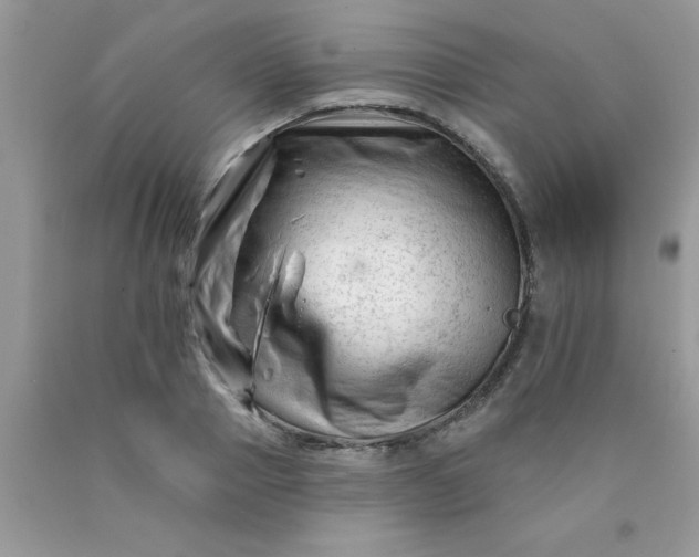 X0000090480937200707272316