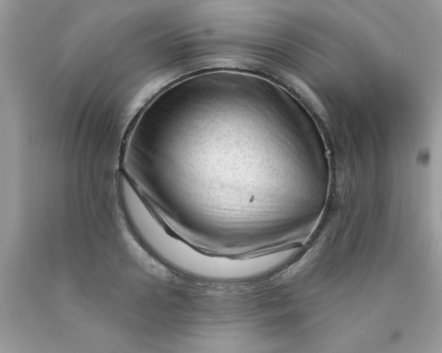 X0000090480938200707272316