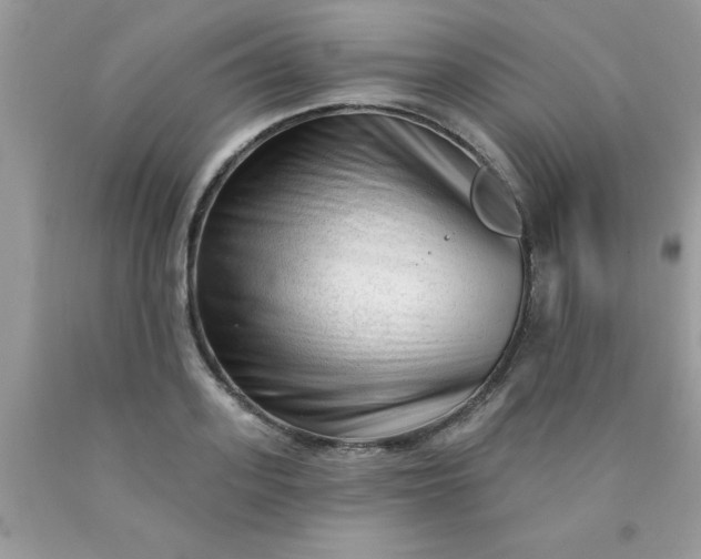 X0000090480939200707272316