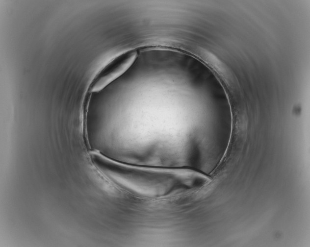 X0000090480940200707272316