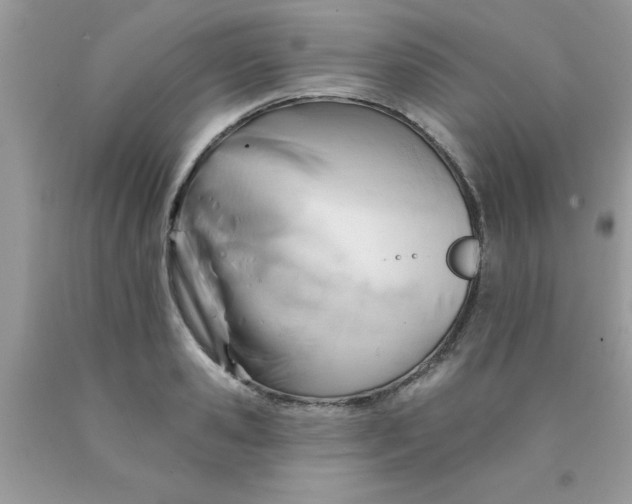 X0000090480941200707272316