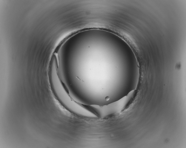 X0000090480942200707272316