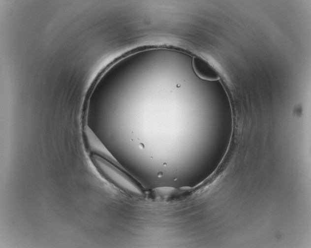 X0000090480943200707272316